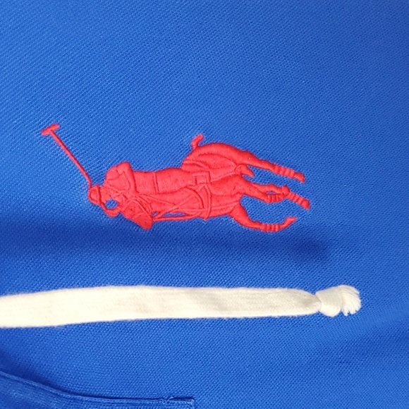 Ralph Lauren Hooded Polo Big Logo Embroidered Long Sleeve Men Blue  Size L - Picture 2 of 8